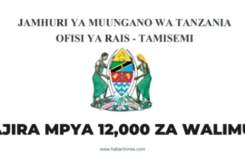 Ajira Mpya 12000 za Walimu OR-Tamisemi