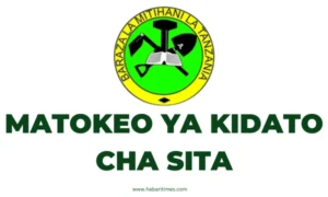 NECTA Matokeo Ya Kidato cha Sita ACSEE 2024-25 Matokeo Yametolewa