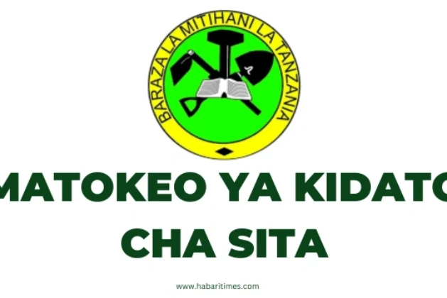 NECTA Matokeo Ya Kidato cha Sita ACSEE 2024-25 Matokeo Yametolewa