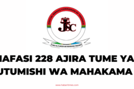 Nafasi 228 za Ajira Tume ya Utumishi wa Mahakama Tanzania (JSC)