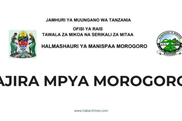 Nafasi za Kazi Manispaa ya Morogoro – Julai 2024