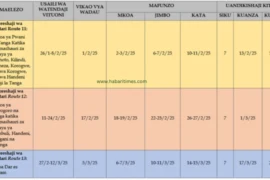 Ratiba ya NEC (INEC) Tanzania 2024/2025