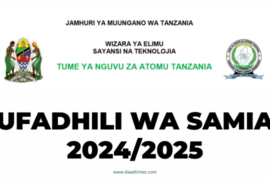 Ufadhili wa Samia (Samia Scholarship) 2024/2025 TAEC