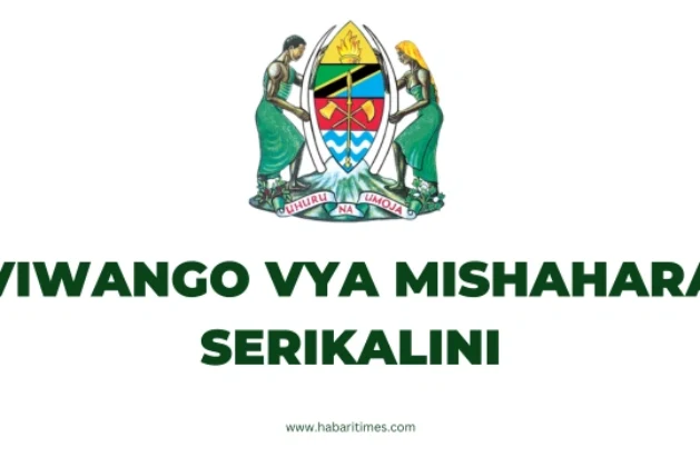 Viwango vya Mishahara 2024-25 Serikalini